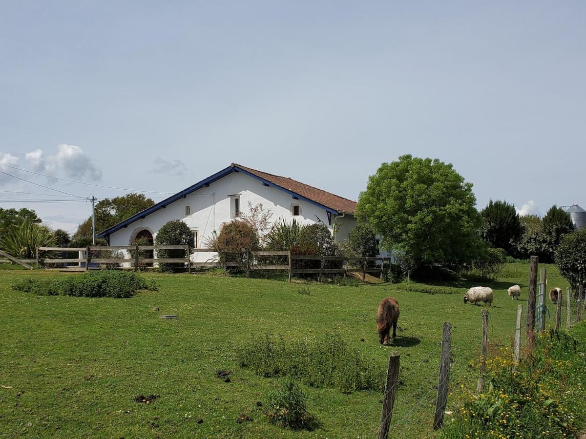 Family Home With Pool Saint-Lon-Les-Mines Exterior foto